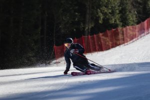 Průvodce lyžařských dovedností